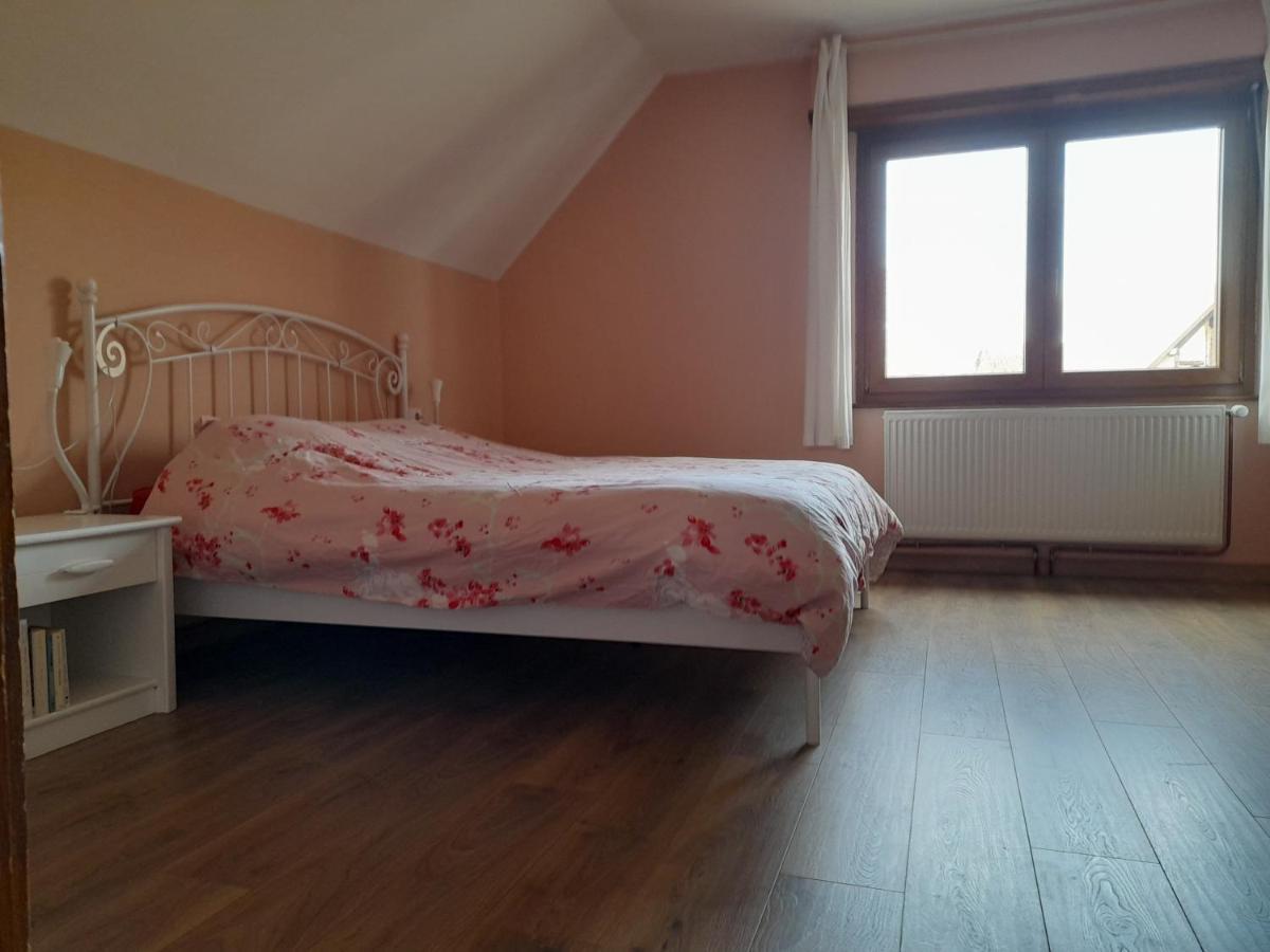 Appart 4 Pers Refait Neuf 90M2 Avec Balcon Baldenheim Kültér fotó